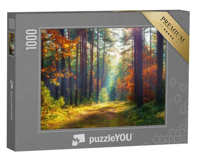 Puzzle 1000 Teile „Herbstliche Naturlandschaft“