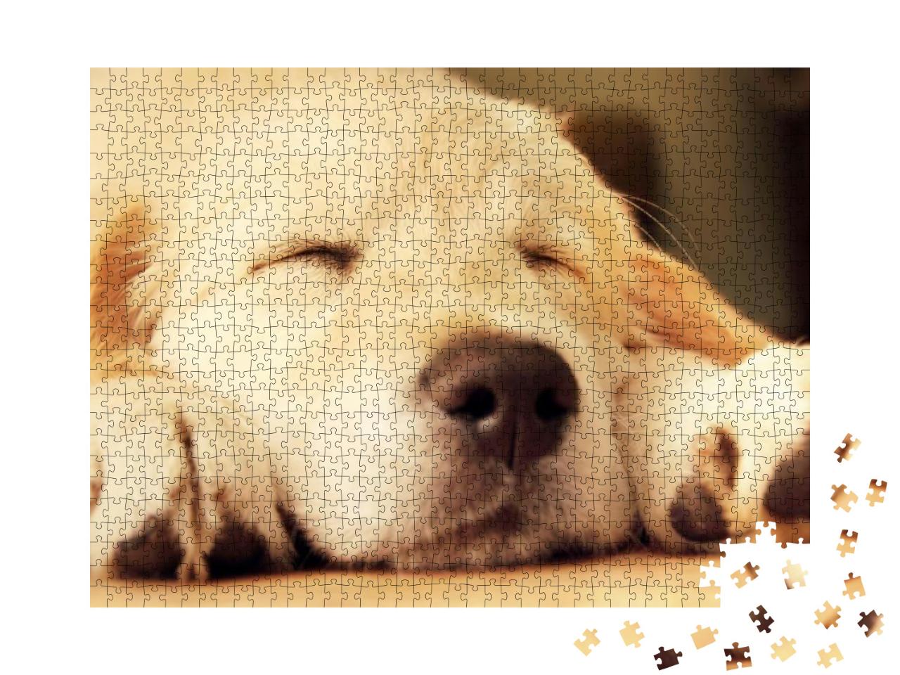 Puzzle 1000 Teile „Golden Retriever Welpe beim Nickerchen“