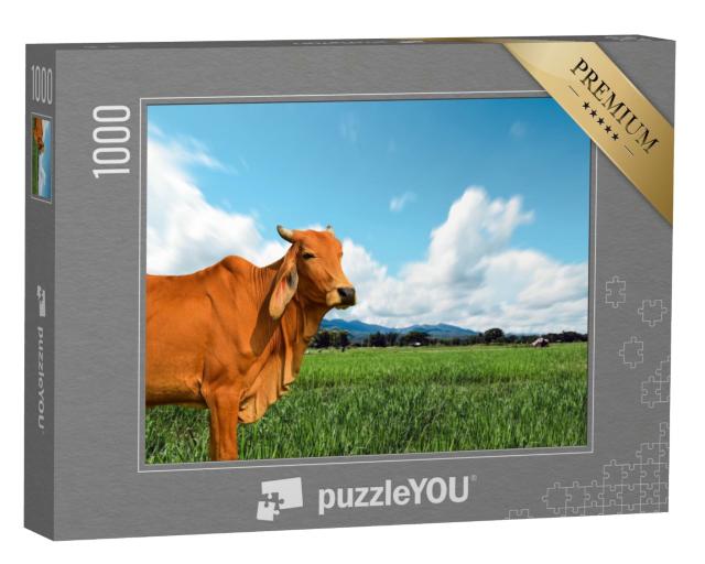 Puzzle 1000 Teile „Kuh auf einer saftig-grünen Weide“