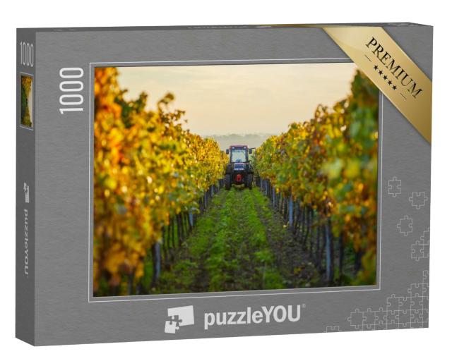Puzzle 1000 Teile „Herbstliche Reihen von Weinreben mit einem Traktor“