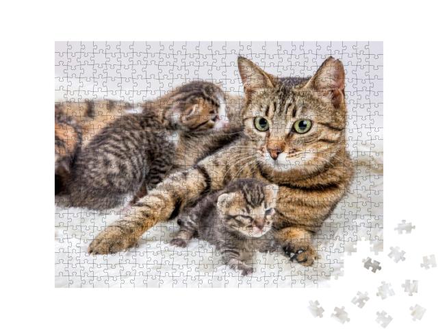 Puzzle 500 Teile „Katzenmutter und Katzenbaby, Kitten“