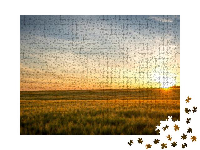 Puzzle 1000 Teile „Sonnenuntergang auf dem Feld“