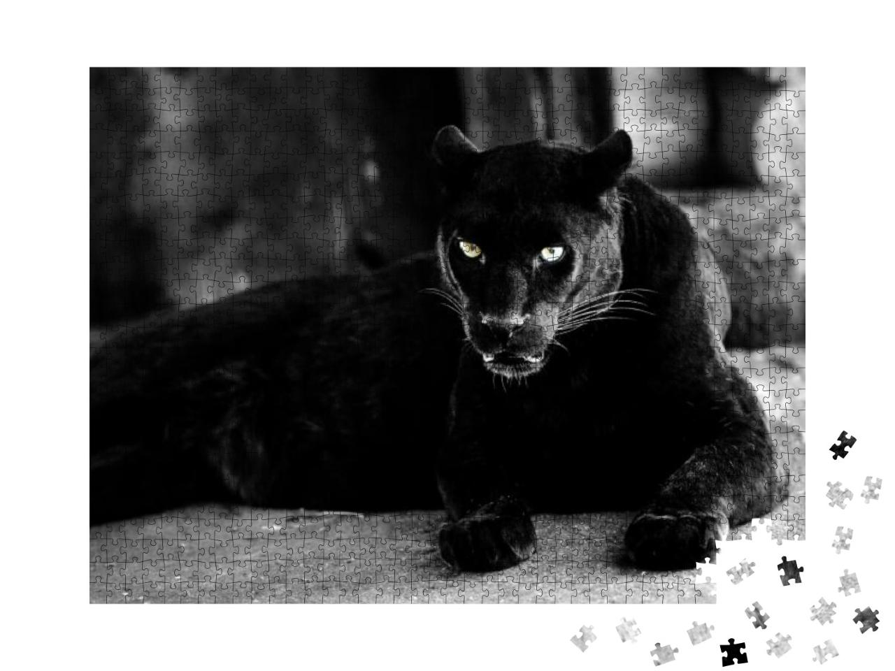 Puzzle 1000 Teile „Schöner schwarzer Panther “