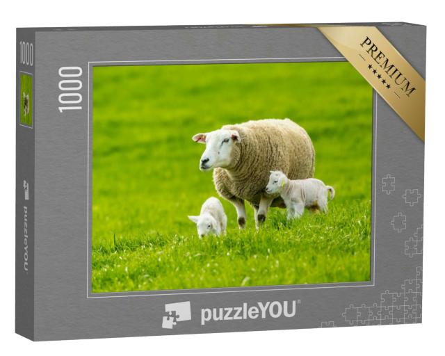Puzzle 1000 Teile „Ein Schaf mit Lämmern auf einer grünen Wiese im Frühling“