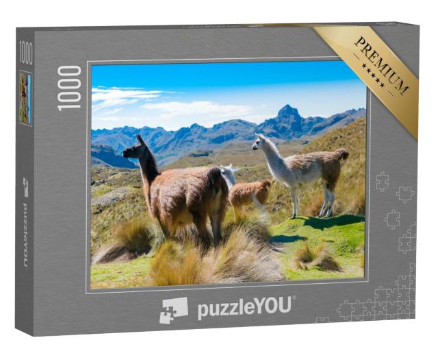 Puzzle 1000 Teile „Lamas im Cajas-Park Cuenca, Ecuador“