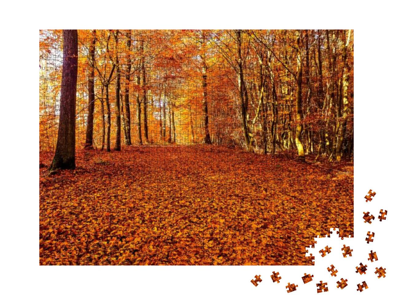 Puzzle 1000 Teile „Eine Straße aus Herbstlaub im Wald“