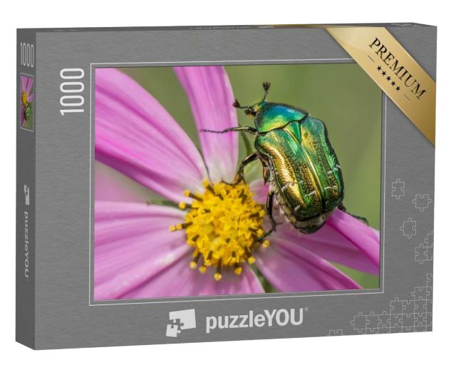 Puzzle 1000 Teile „Wunderschöner Goldkäfer auf einer rosa-gelben Blüte“