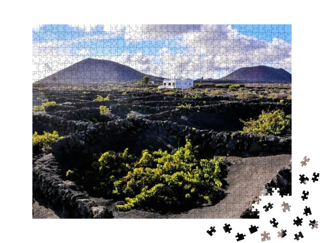 Puzzle 1000 Teile „Weinberge von La Geria, Lanzarote, Kanarische Inseln, Spanien“