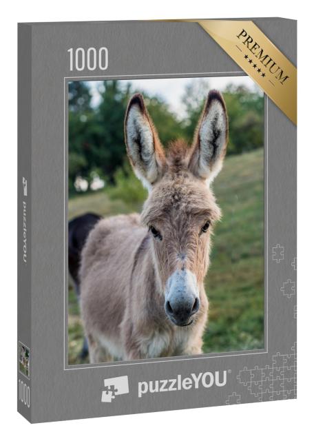 Puzzle 1000 Teile „Junge Esel auf der Weide“