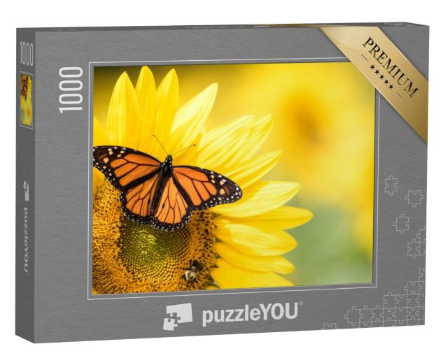 Puzzle 1000 Teile „Monarchfalter, Danaus Plexippus, auf einer Sonnenblume“