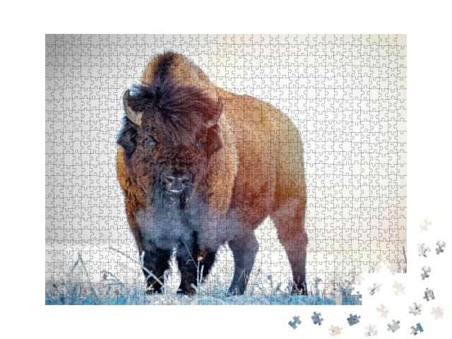 Puzzle 1000 Teile „Präriewisent an einem Wintermorgen“