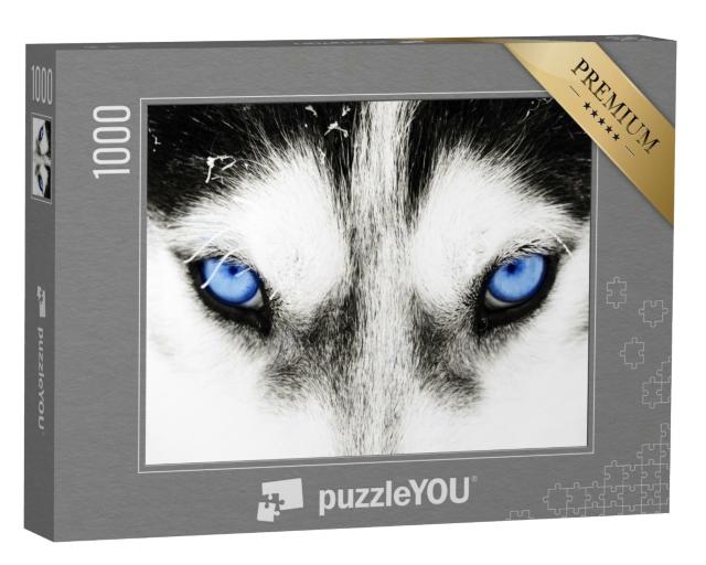 Puzzle 1000 Teile „Nahaufnahme: Die blauen Augen eines Husky-Hundes“