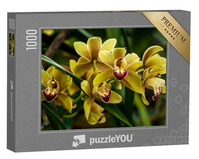 Puzzle 1000 Teile „Bootsorchideen in Indien“