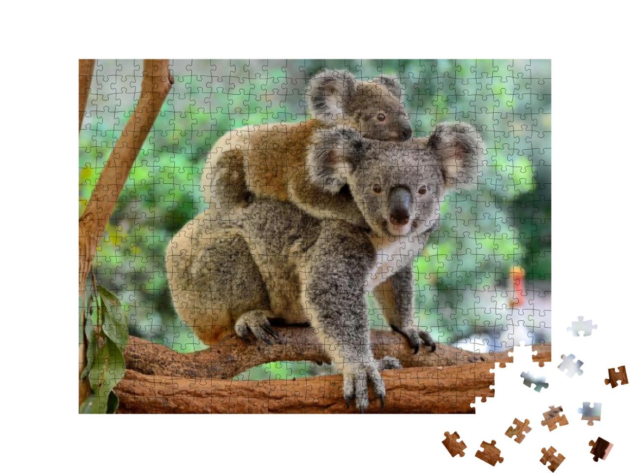 Puzzle 500 Teile „Koala-Mutter mit Baby auf dem Rücken auf einem Eukalyptusbaum“