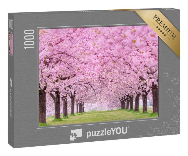 Puzzle 1000 Teile „Üppige Kirschblüten, Japan Obuse-machi, Präfektur Nagano“