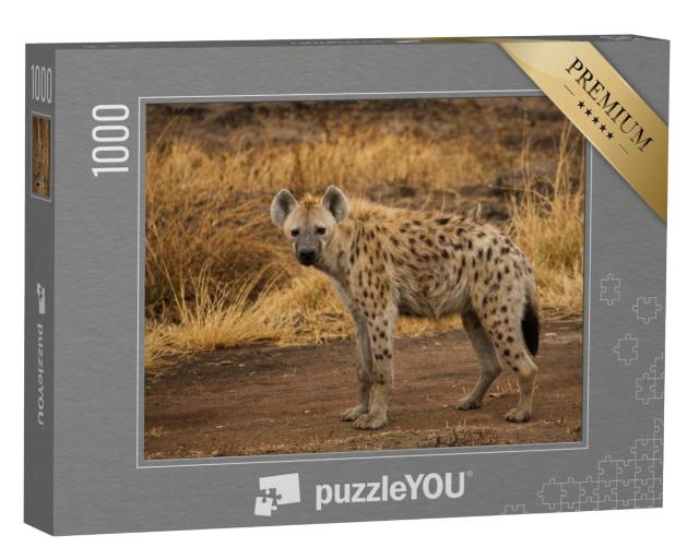 Puzzle 1000 Teile „Tüpfelhyäne in der Savanne“