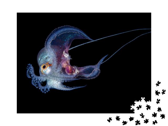 Puzzle 1000 Teile „Unterwasserfoto eines blauen Oktopusses“