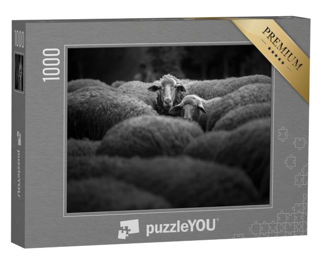Puzzle 1000 Teile „Schafherde, schwarz-weiß“