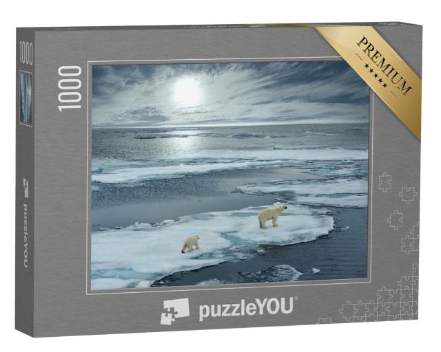 Puzzle 1000 Teile „Eisbärin mit Jungtier auf einer Eisscholle, Norwegen“