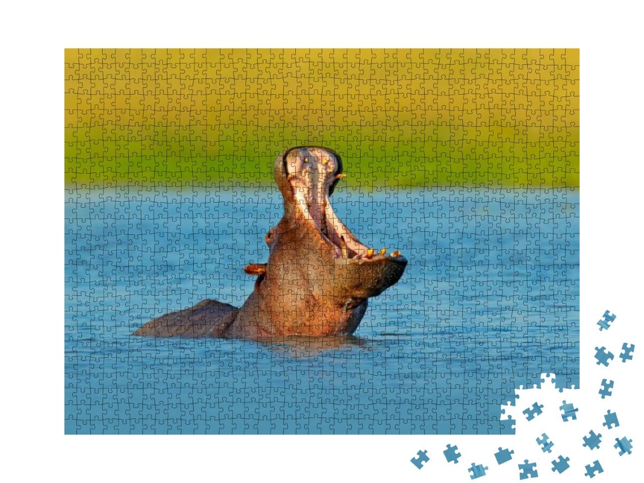 Puzzle 1000 Teile „Nilpferd mit offener Schnauze im Wasser, Botswana, Afrika“