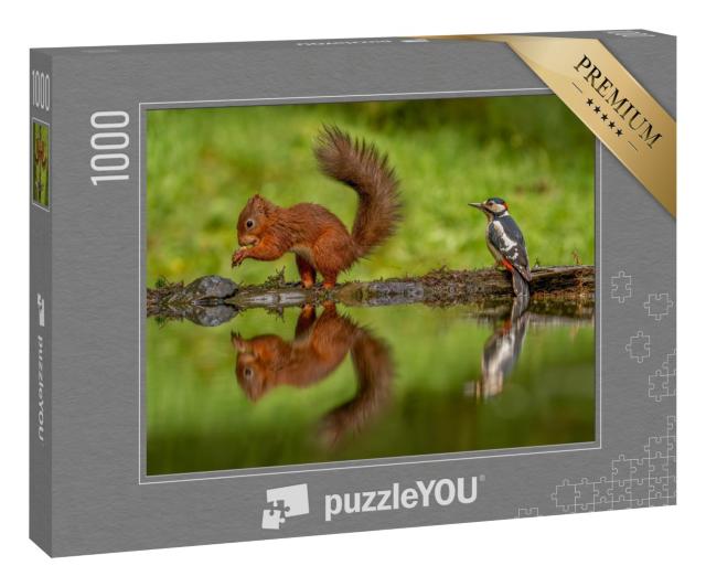 Puzzle 1000 Teile „Rotes Eichhörnchen und ein Buntspecht“