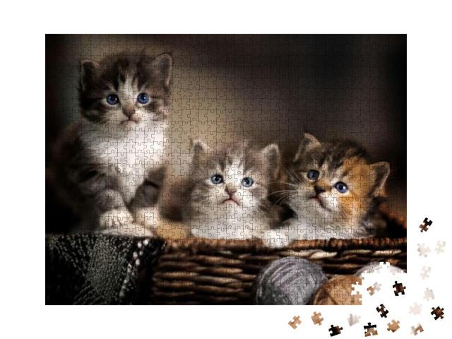 Puzzle 1000 Teile „Drei niedliche Kätzchen, Großaufnahme“