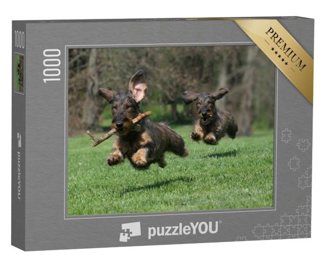 Puzzle 1000 Teile „Zwei Hunde: Rasse Rauhaardackel“