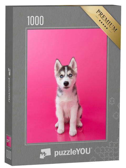 Puzzle 1000 Teile „Huskywelpe vor rosa Hintergrund“