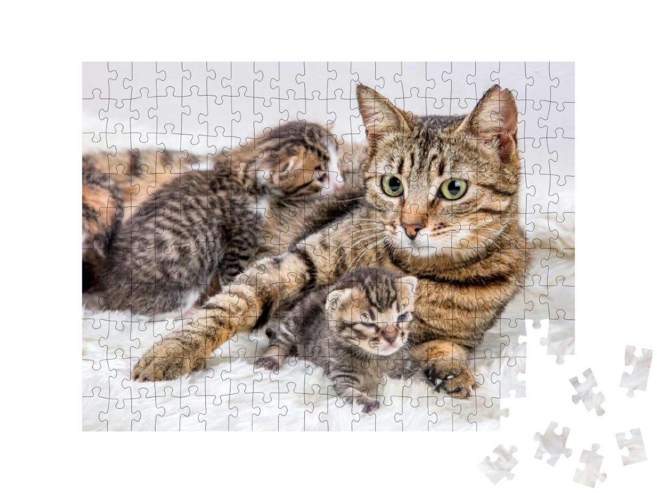 Puzzle 200 Teile „Katzenmutter und Katzenbaby, Kitten“