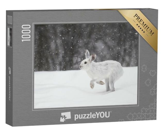 Puzzle 1000 Teile „Weißer Schneehase im kanadischen Winter“