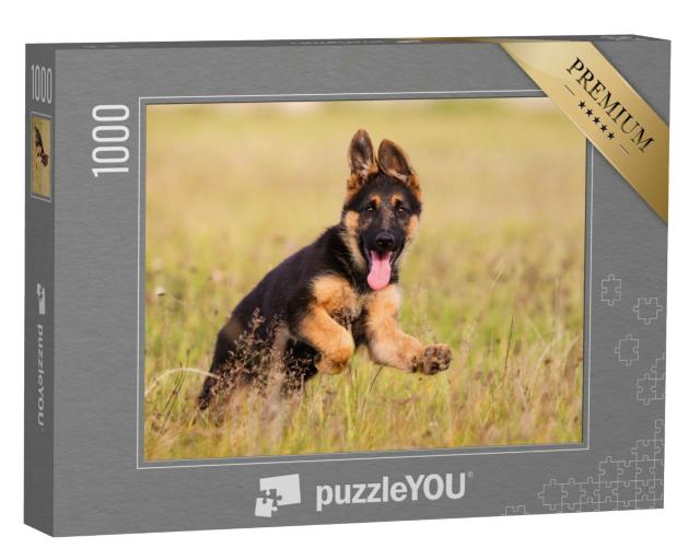 Puzzle 1000 Teile „Deutscher-Schäferhund-Welpe läuft durch das Gras “