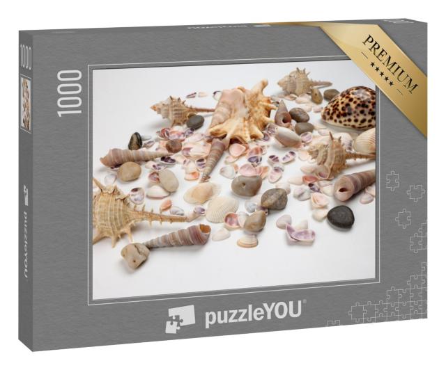 Puzzle 1000 Teile „Triton Muscheln“
