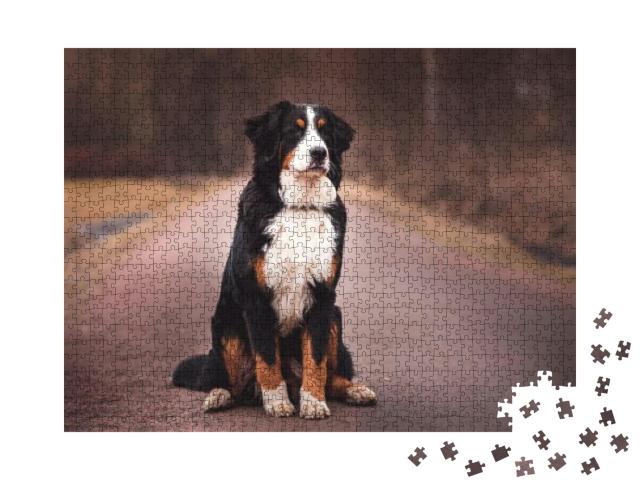 Puzzle 1000 Teile „Berner Sennenhund auf der Straße“