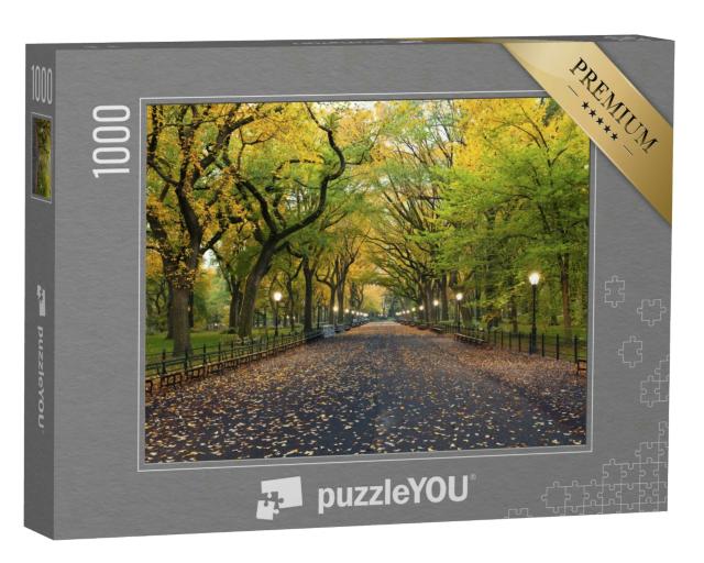 Puzzle 1000 Teile „The Mall Bereich im Central Park, New York City“