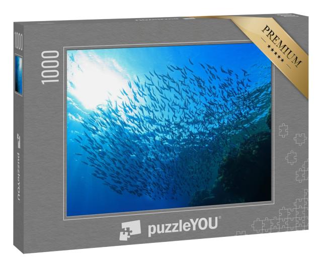 Puzzle 1000 Teile „Schwarm kleiner Fische in der Nähe eines Korallenriffs im Roten Meer“