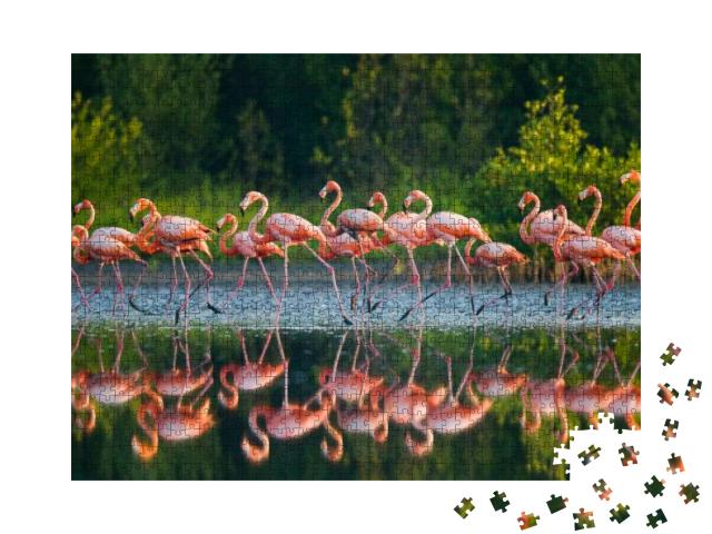 Puzzle 1000 Teile „Karibische Flamingos im Wasser“