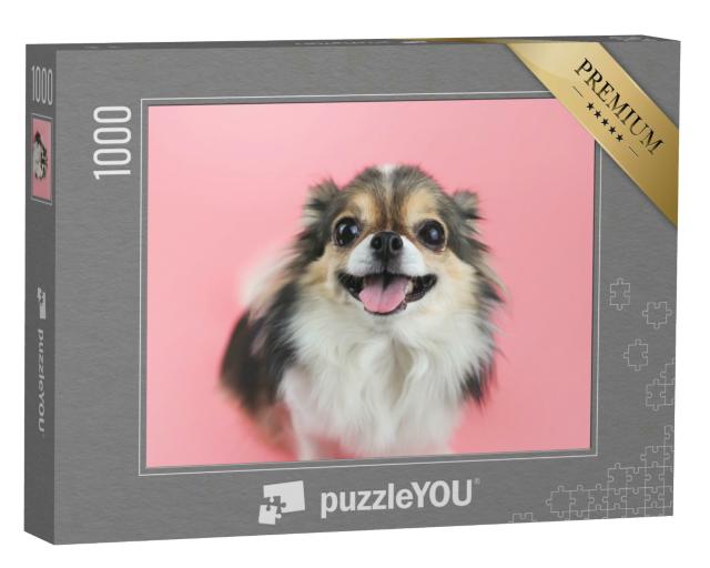 Puzzle 1000 Teile „Chihuahua mit langen Haaren und rosa Zunge“