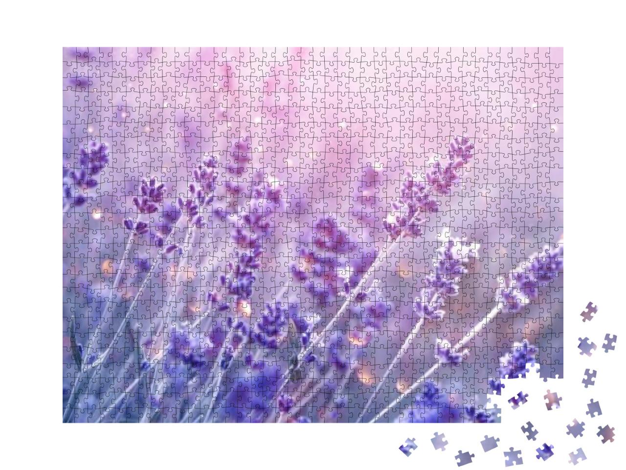 Puzzle 1000 Teile „Blühender Lavendel im sanften Abendlicht“