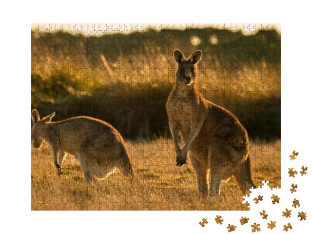 Puzzle 1000 Teile „Känguru bei Sonnenuntergang, offenes Feld“