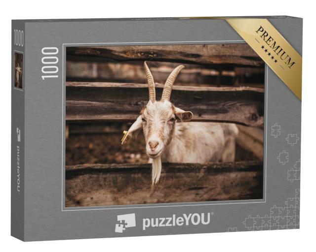 Puzzle 1000 Teile „Ziege, die auf dem Bauernhof lebt “