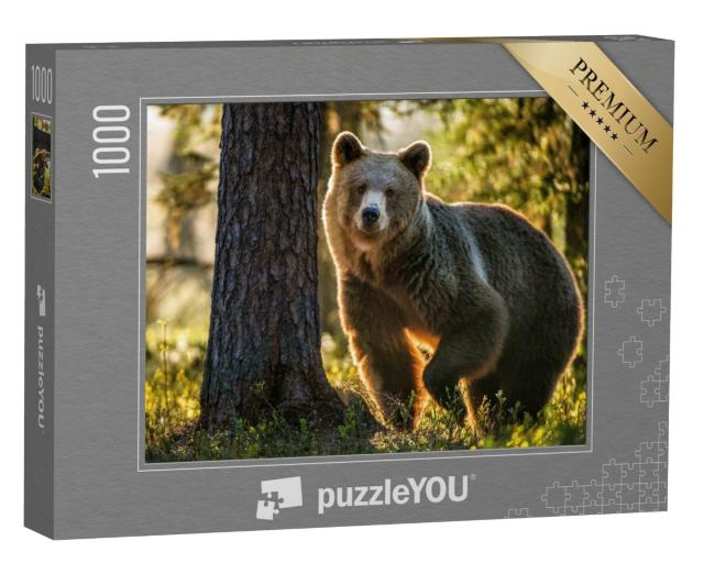 Puzzle 1000 Teile „Braunbär im Sommerwald“