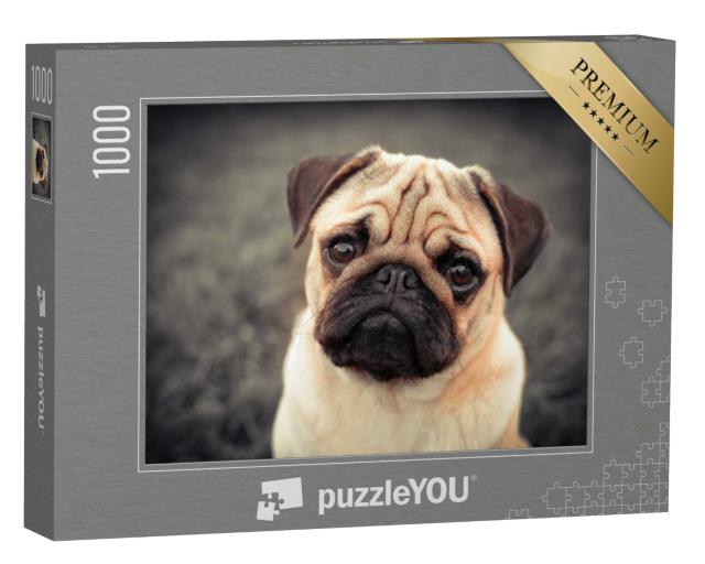 Puzzle 1000 Teile „Ein Mops-Welpe“