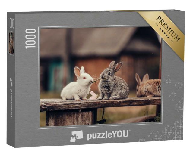 Puzzle 1000 Teile „Zwei Kaninchen mümmeln Löwenzahn“