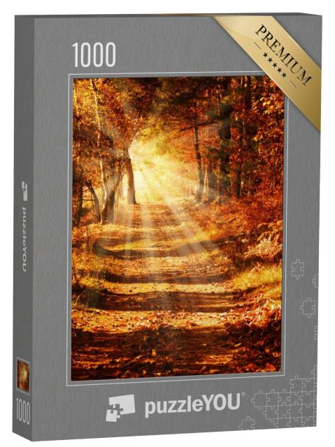 Puzzle 1000 Teile „Sonnenstrahlen auf einem Waldweg im goldenen Herbst“