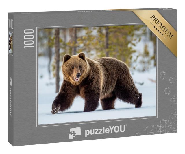 Puzzle 1000 Teile „Wilder erwachsener Braunbär streift durch den Winterwald“