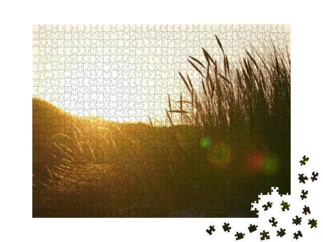 Puzzle 1000 Teile „Sonnenuntergang in den Dünen von Juist“
