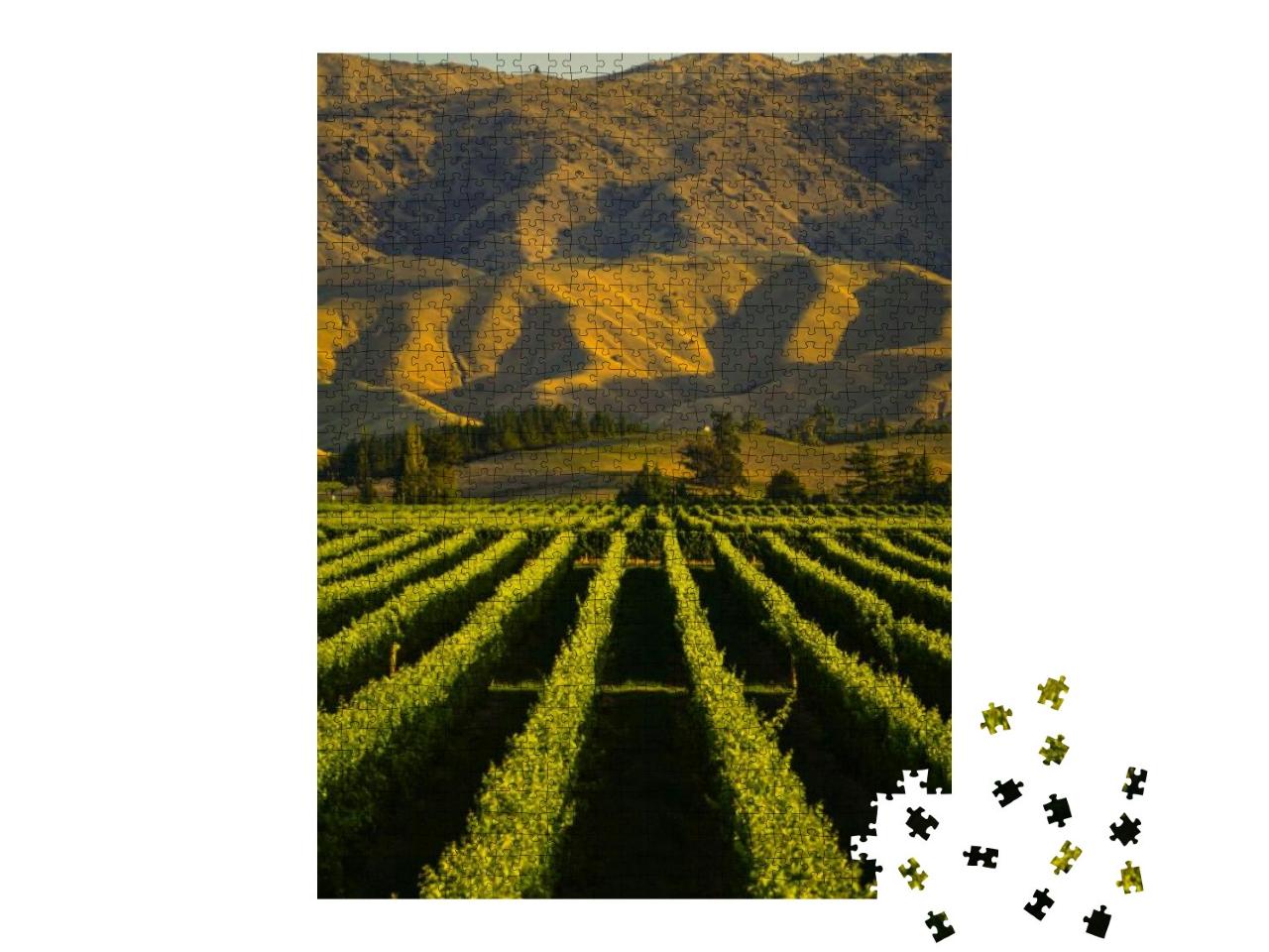Puzzle 1000 Teile „Weinberge vor Sonnenuntergang mit Berg in Blenheim, Neuseeland“