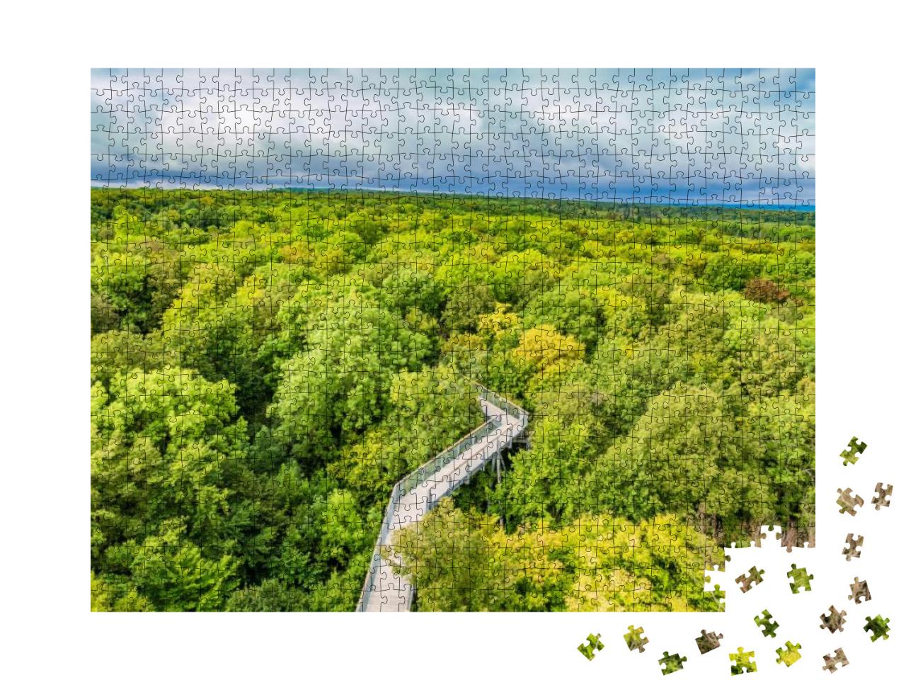 Puzzle 1000 Teile „Baumwipfelpfad durch die Buchenwälder des Nationalparks Hainich, Deutschland“