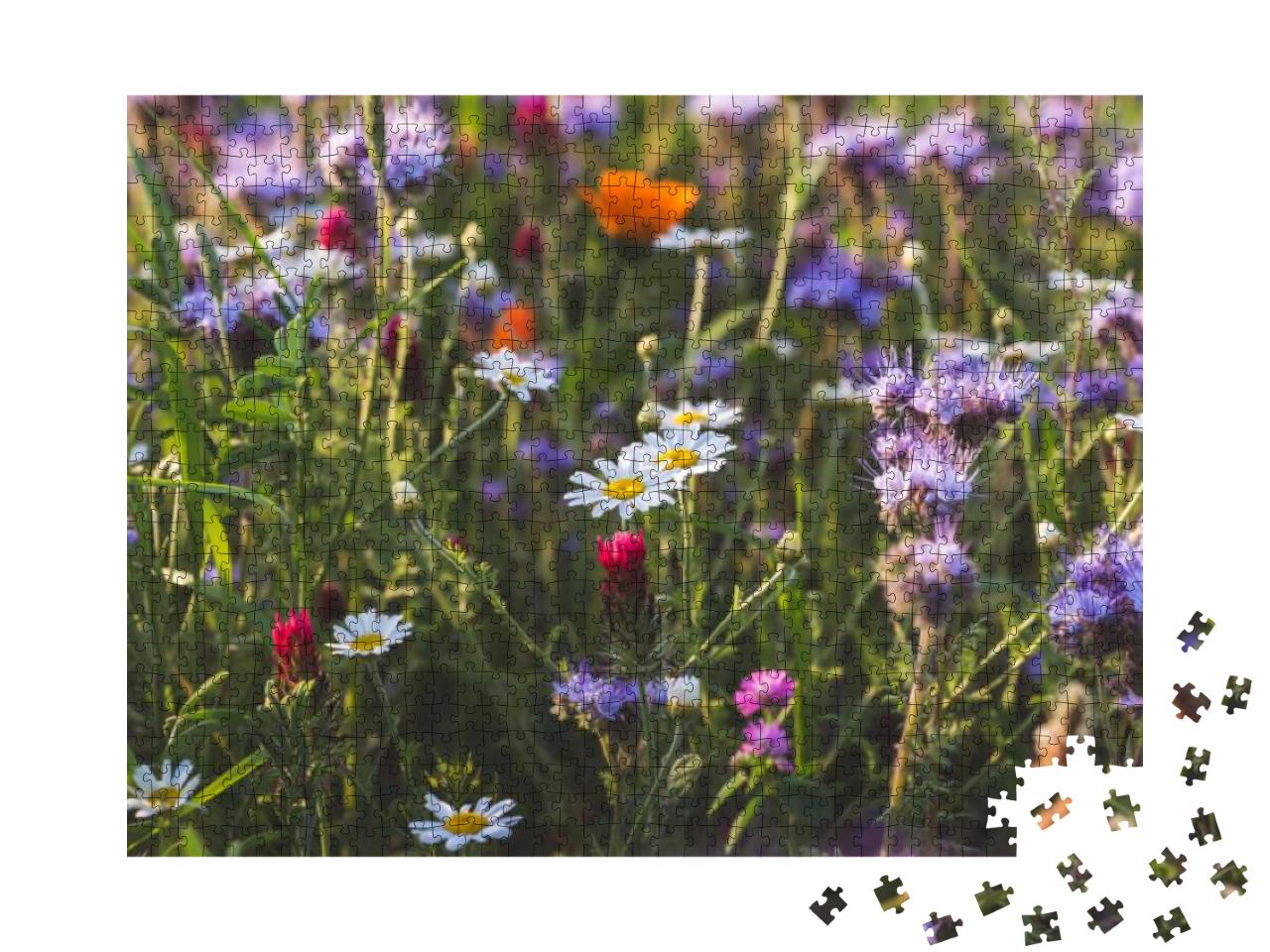 Puzzle 1000 Teile „Bunt blühende Kräuterwiese mit lila blühenden Phacelia und Ringelblumen“