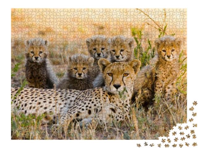 Puzzle 2000 Teile „Gepardenmutter und ihre Jungtiere in der Savanne, Kenia“